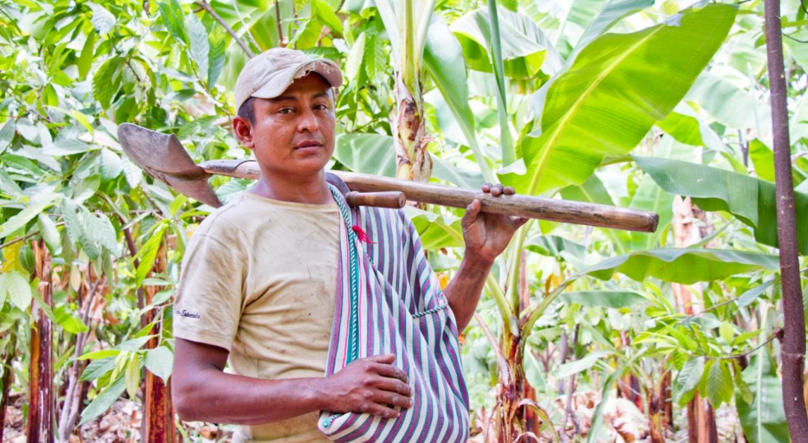 GTPA-GTCC Afrodec-Capote